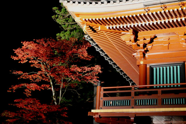 ライトアップNIKKO